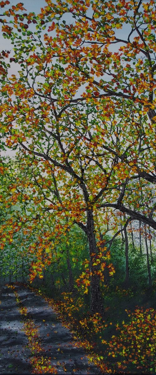 Late afternoon Walk in Autumn by Hazel Thomson