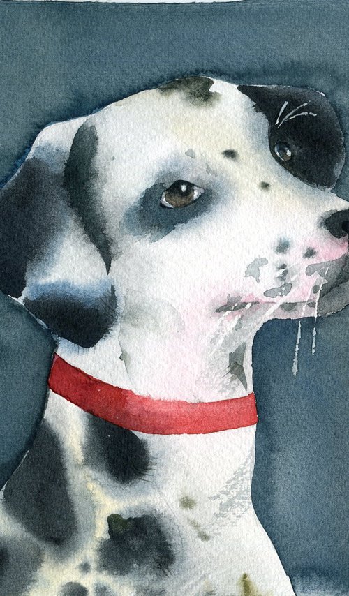 Portrait of a Dalmatian. Original watercolor artwork. by Evgeniya Mokeeva