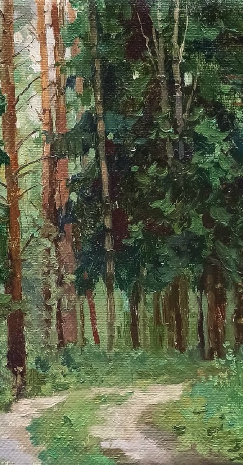 Among the spruces by Olga Goryunova