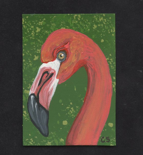 ACEO ATC Original Miniature Painting Flamingo Bird Wildlife Art-Carla Smale