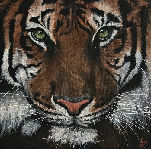 Eye of the Tiger by Denise Martens