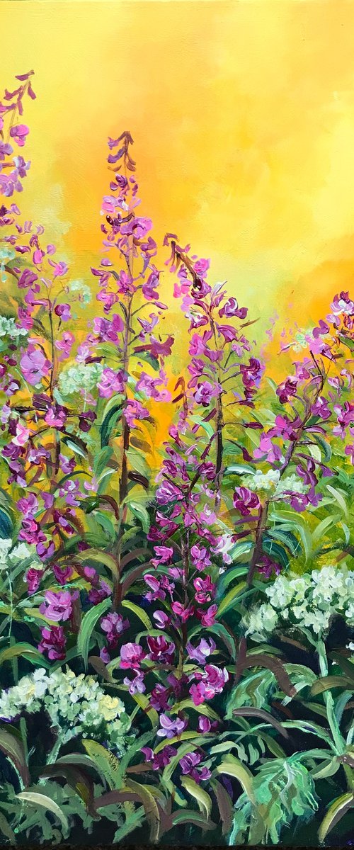 Fireweed by Colette Baumback