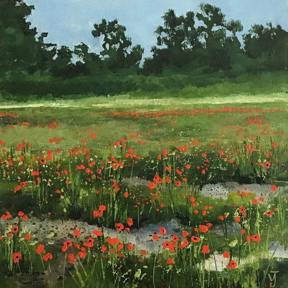 Poppy Field