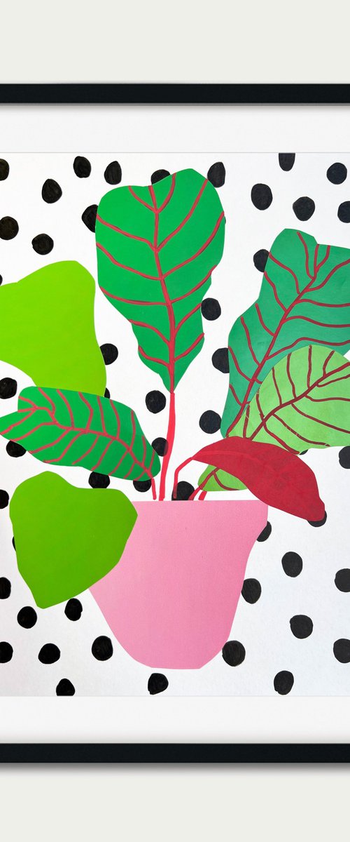 Fiddle-Leaf Fig Plant 07241 by Sasha Robinson