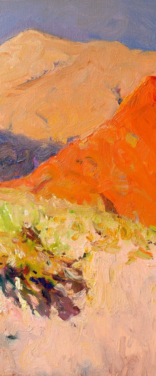 Morning. Desert by Suren Nersisyan