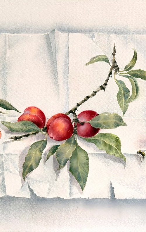 Plum still life by Natalia Butenko