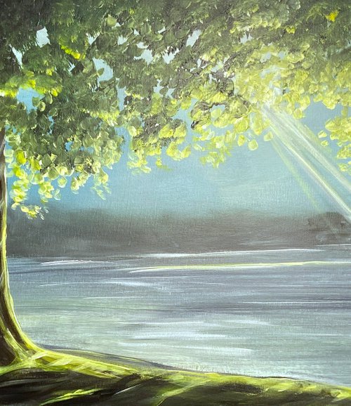 Illuminating Woodlands by Aisha Haider