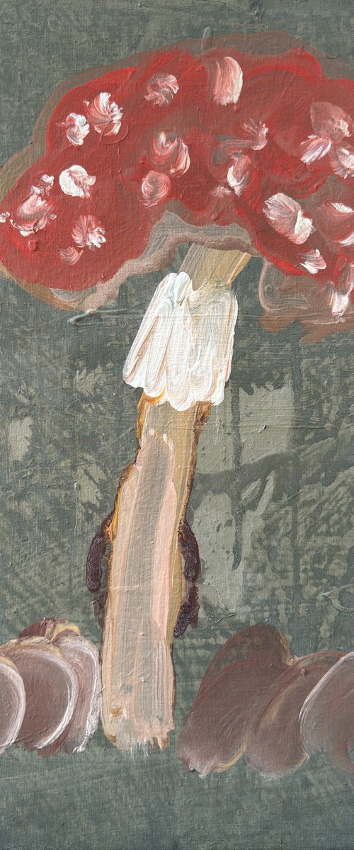 Just a Mushroom by Zakhar Shevchuk