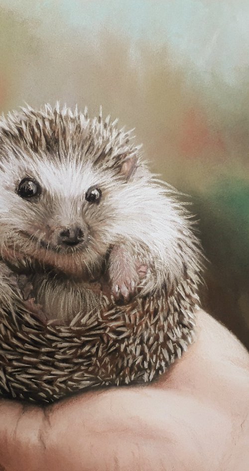 TINY HEDGEHOG by Semire Akyazı