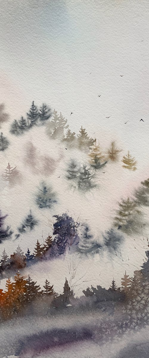 Mountain spruce forest #1 by Eugenia Gorbacheva