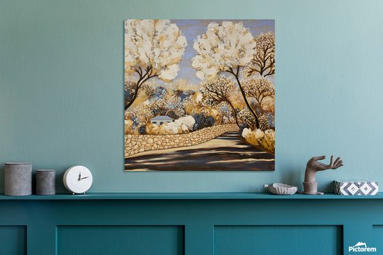 Tranquil Light