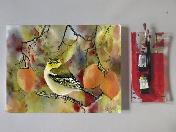 finch with persimmons