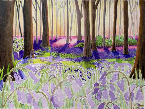 Bluebell wood