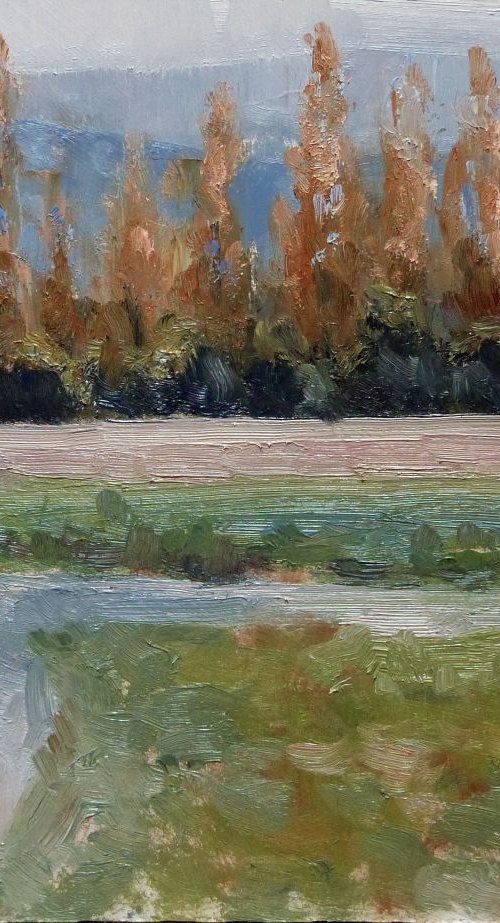 Poplars by Pascal Giroud