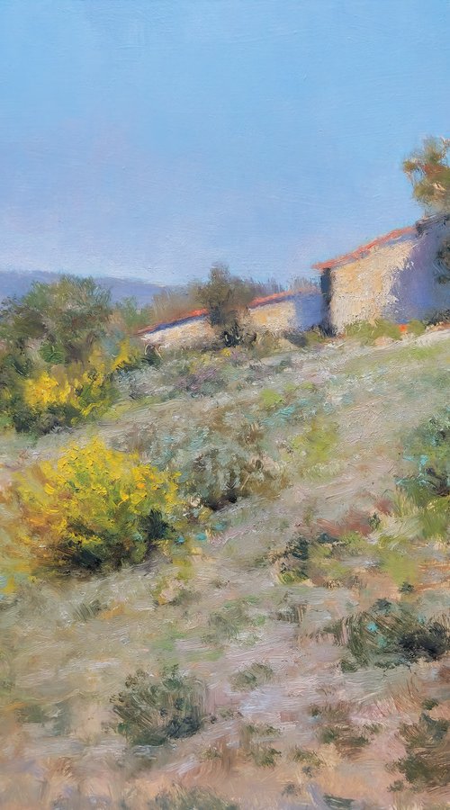 Garrigues in Provence by Pascal Giroud