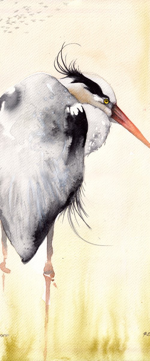 Bird CCXLIX - Heron by REME Jr.