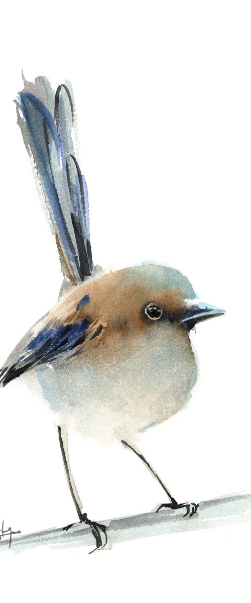 Fairy Wren Bird by Sophie Rodionov