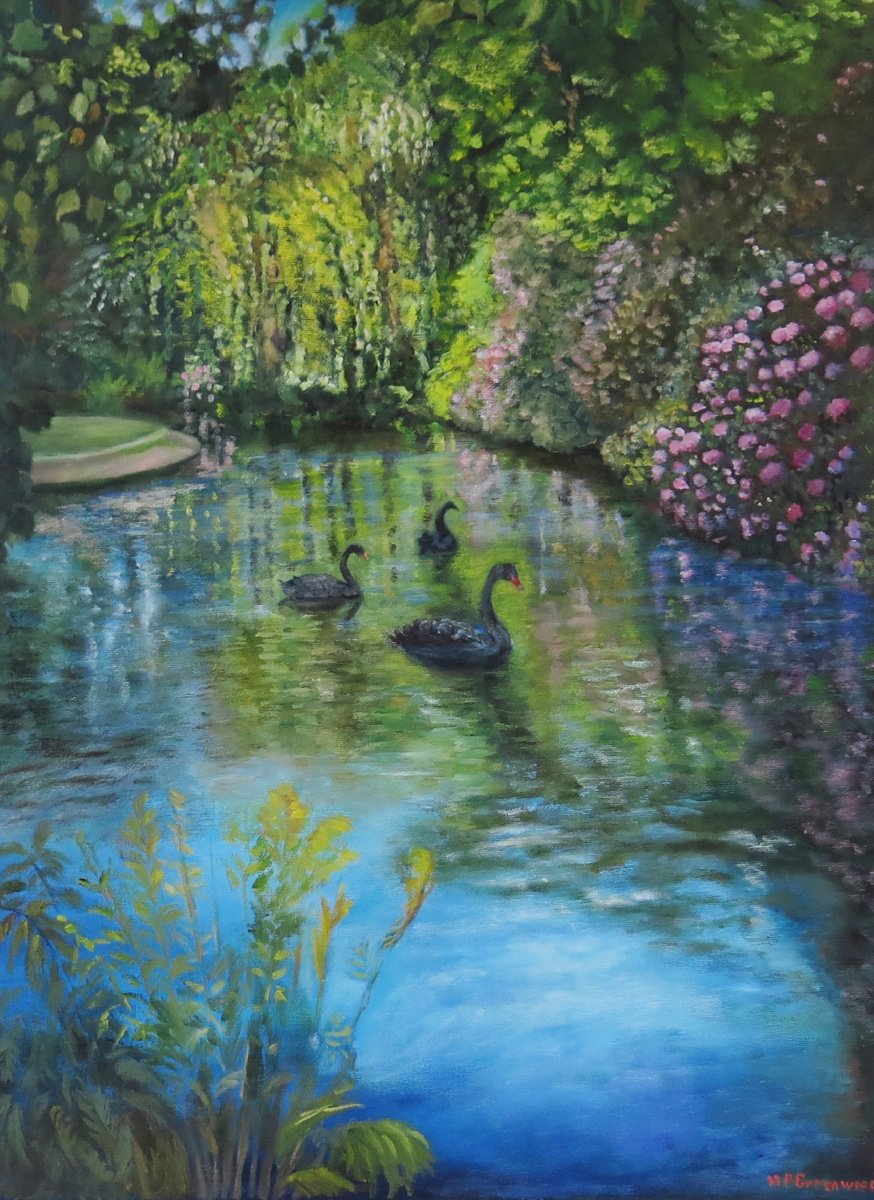 Impressionistic Landscape Oil Painting By Maureen Greenwood, 18 X 24", Three Black Swans, Original Artwork