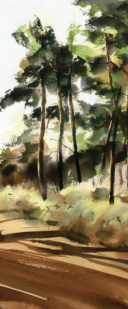 Watercolor pine forest in sunlight, Nature and shadows by Yulia Evsyukova