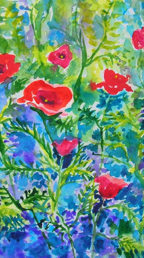 Poppy meadow by Maja Grecic