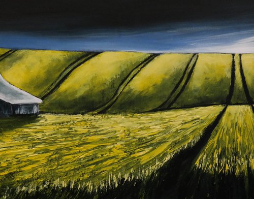 Barn in the  Canola  Fields - Fields and Colors Series by Danijela Dan