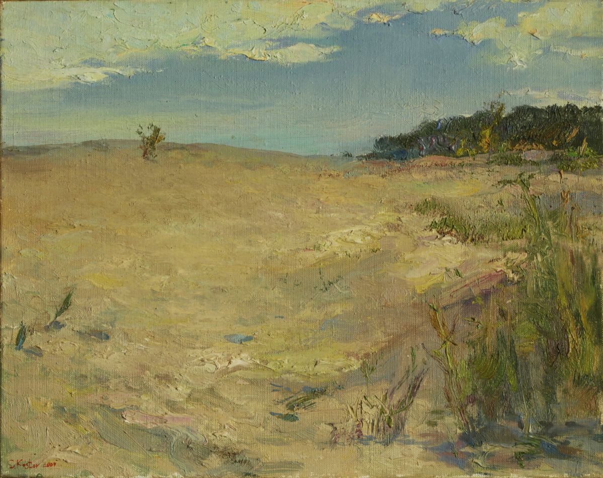 Impressionistic Landscape Oil Painting By Sergey Kostov, 20 X 16", Deserted Beach, Original Artwork
