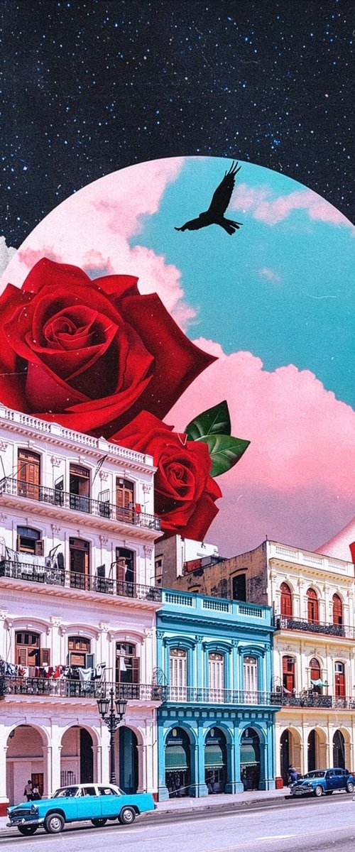 Cuba&Roses by Darius