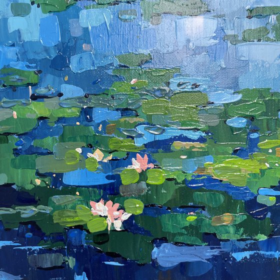 Water lilies. Sky pond