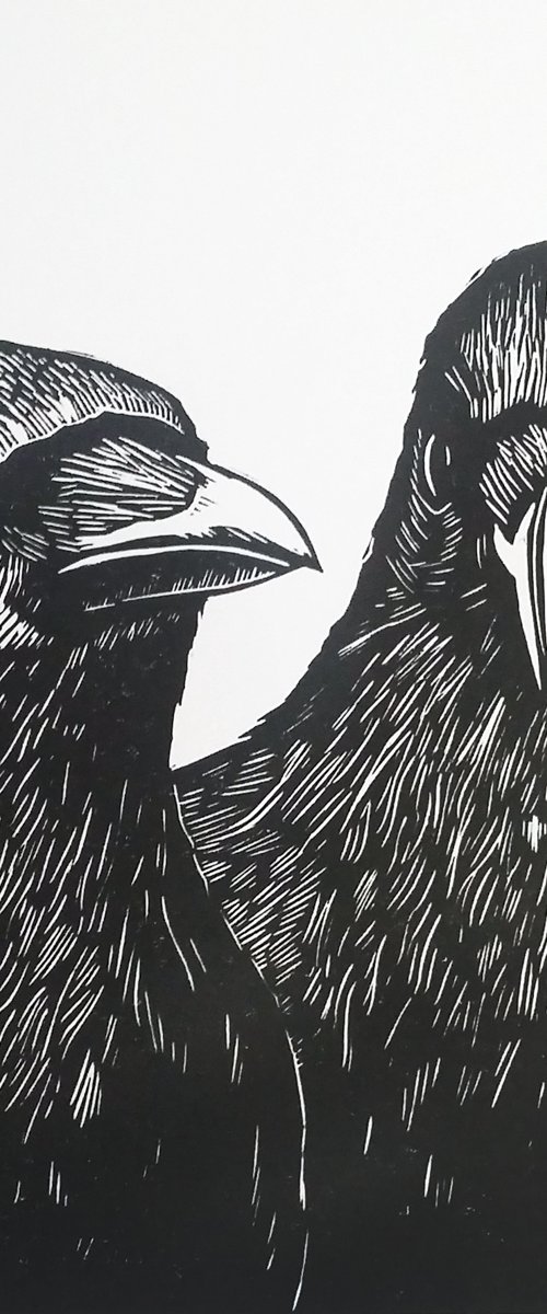 Watch the birdy by Carolynne Coulson