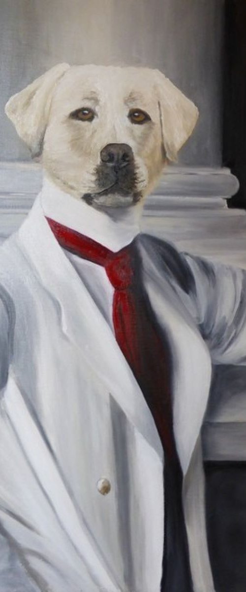 Labrador dressed by Patricia Gitenay