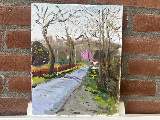 Early March Awakening