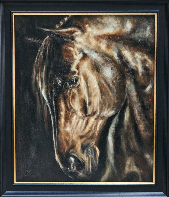 Stallion-Original Horse Portrait
