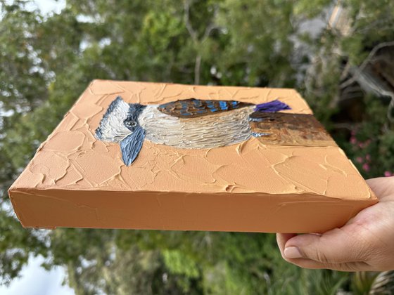 Kookaburra on a stump