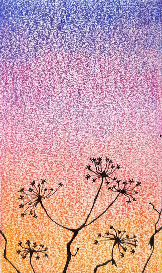 Dried flowers against the backdrop of sunset. Miniature of flowers, silhouettes of flowers at sunset. Original artwork.