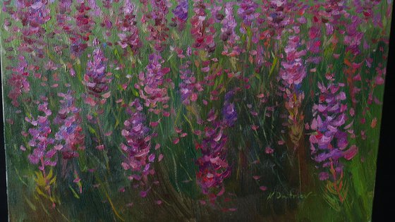 The Morning Over The Fireweed Field - summer landscape painting