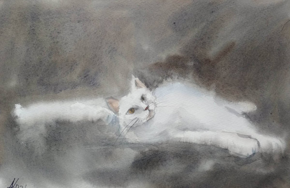 The White cat by Ann Krasikova