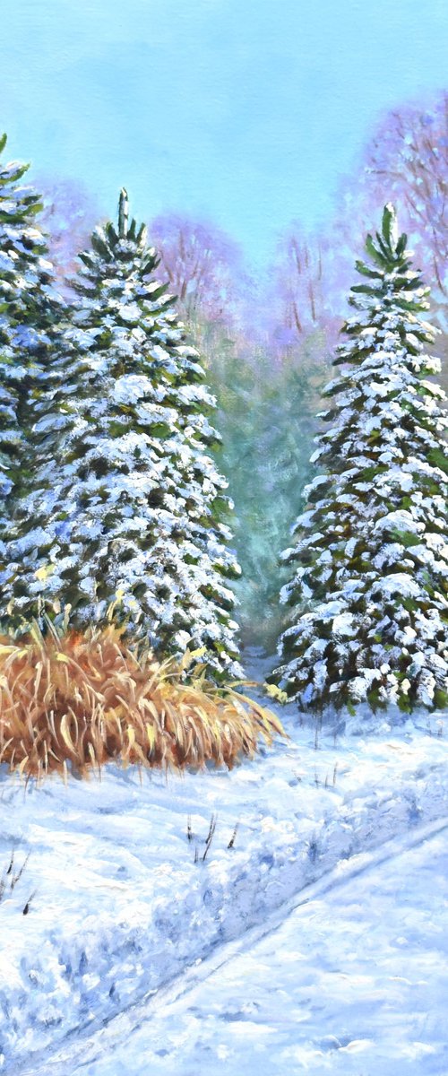 Winter Path by Yulia Nikonova