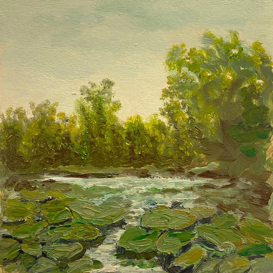 creek — modern landscape