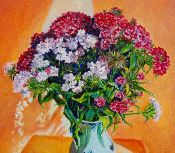 Sweet William Flowers