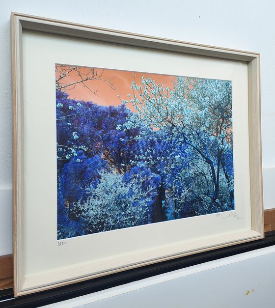 (FRAMED) Nature and Seasons