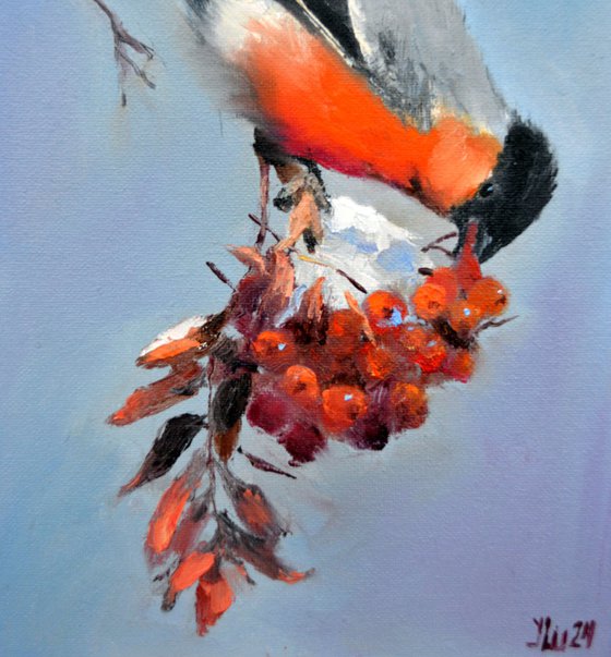 Christmas Bullfinch Breakfast