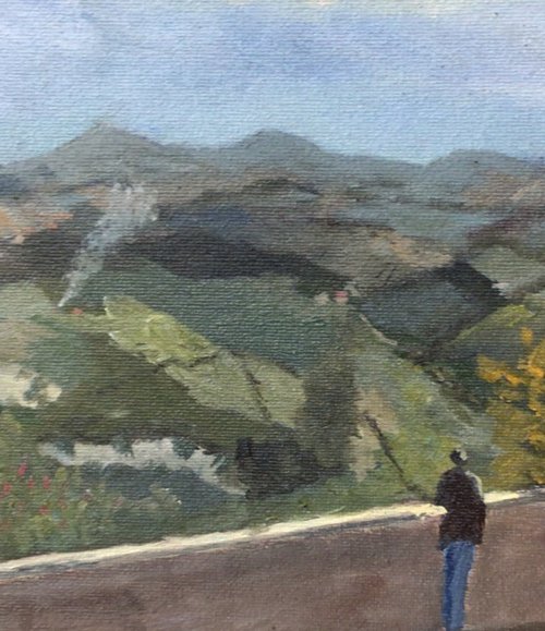 View from Hotel Leoni, an original oil painting. by Julian Lovegrove Art