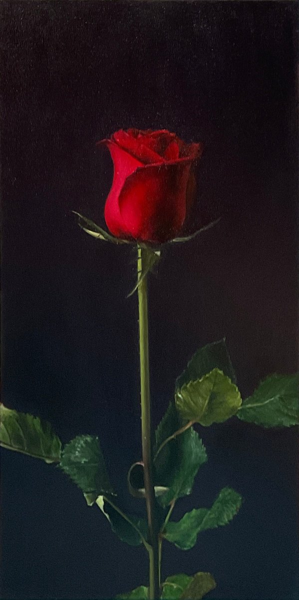Photorealistic Botanical Oil Painting By Alla Kallass, 12 X 24, Adrenalin. Realistic Rose, Original Artwork