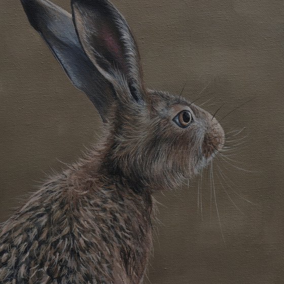 Portrait of a Hare II