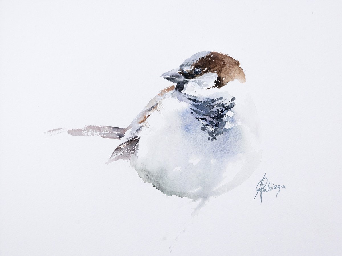 Animal Watercolour By Andrzej Rabiega, 12 X 9, Sparrow, Original Artwork