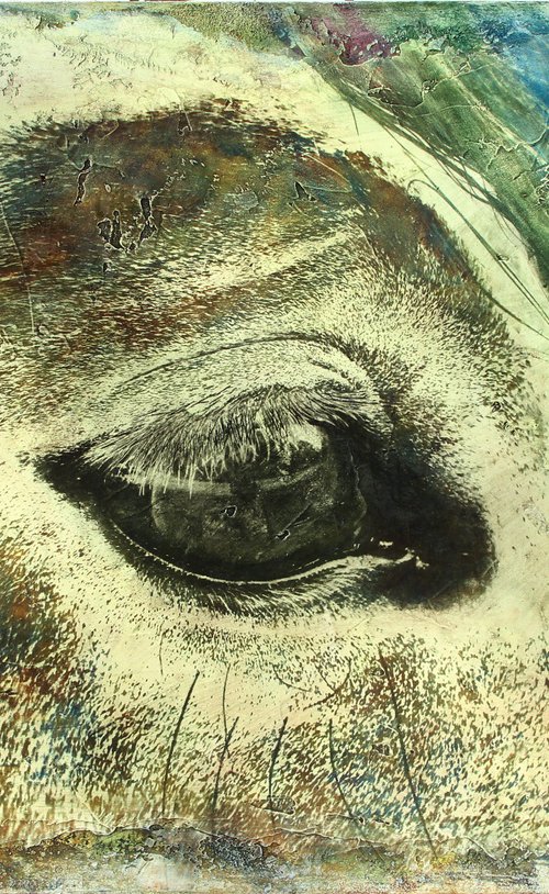 CHROMATIC GAZE by Gill Gilberto Borghesi