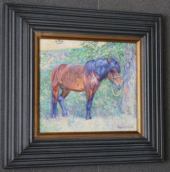 Horse in the shade of trees