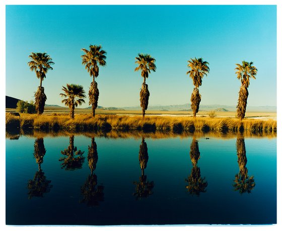 Zzyzx Resort Pool II