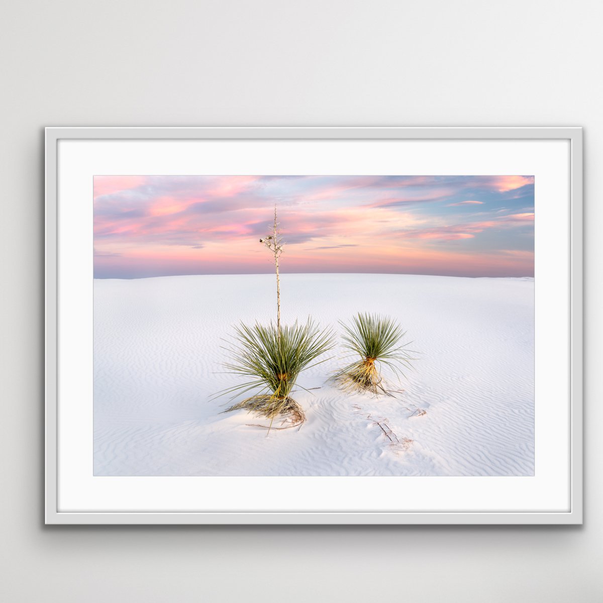 Yucca, White Sands - FRAMED - Limited Edition by Francesco Carucci