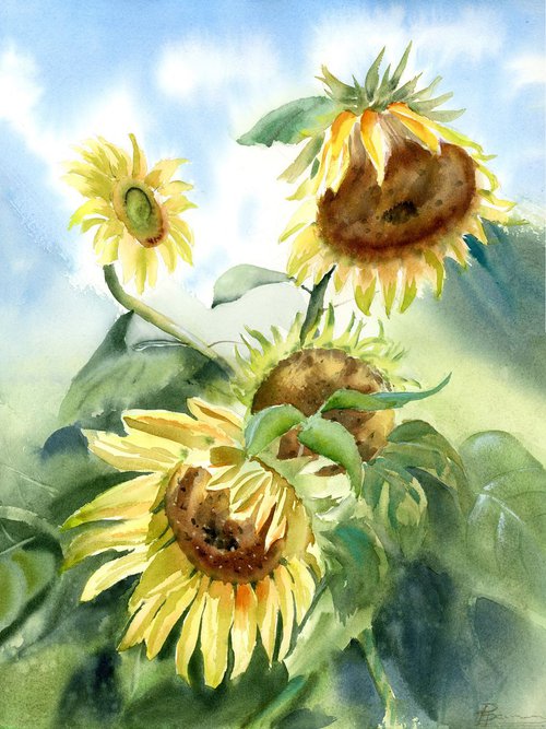 Sunflowers by Olga Shefranov (Tchefranov)